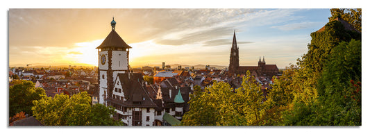 Freiburg Panorama (3:1) - Bild #2