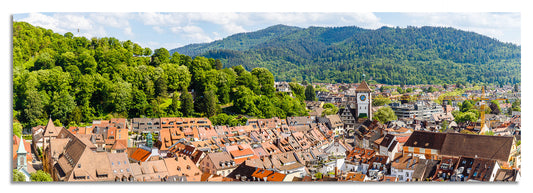 Freiburg Panorama (3:1) - Bild #4