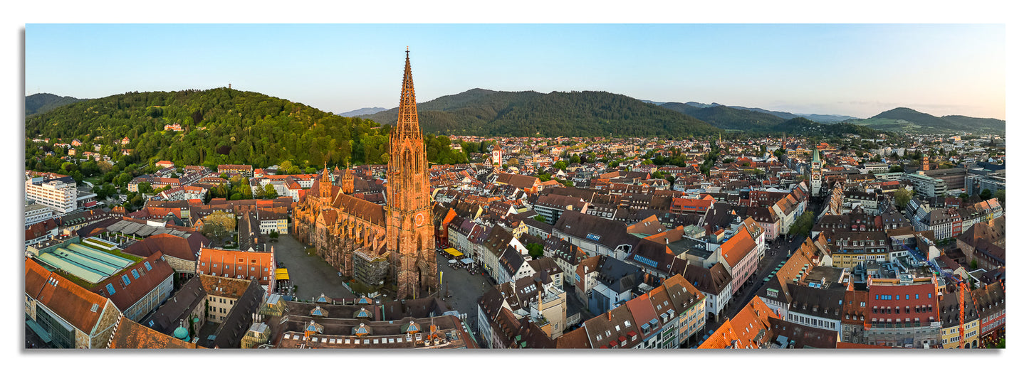 Freiburg Panorama (3:1) - Bild #9