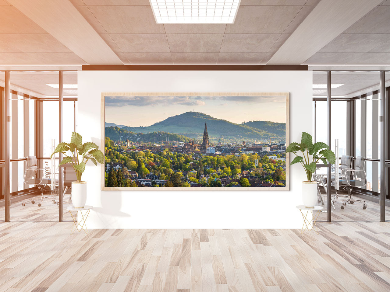 Freiburg Panorama (2:1) - Bild #1