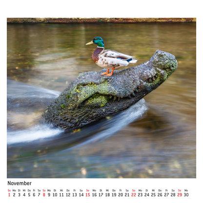 Bächlekalender 2026