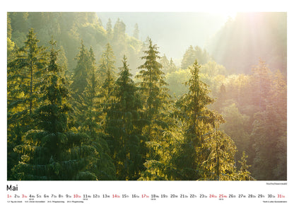 Schwarzwald Kalender 2026