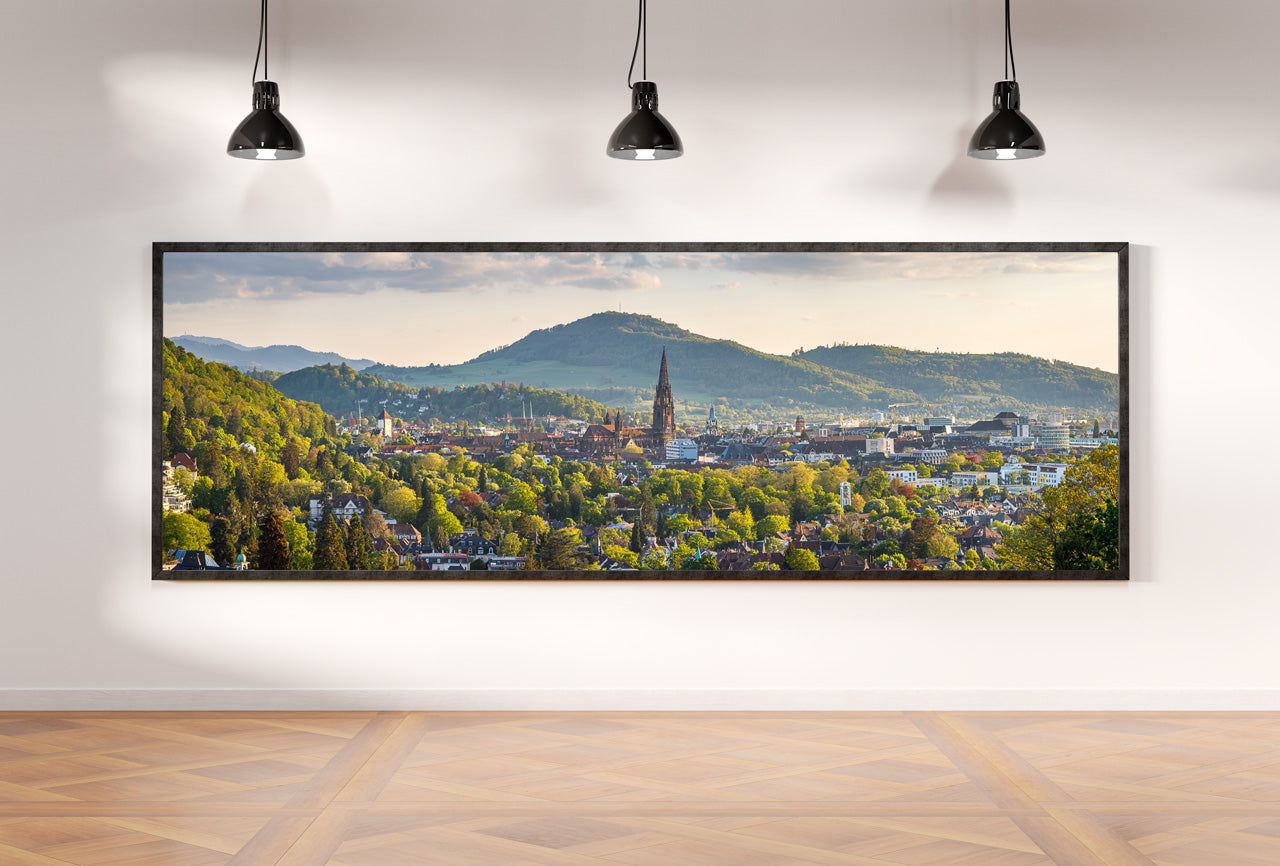 Freiburg Panorama (3:1) - Bild #1