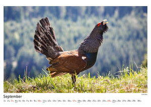 Schwarzwald Kalender 2017