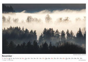 Schwarzwald Kalender 2019