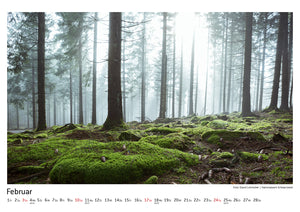 Schwarzwald Kalender 2019