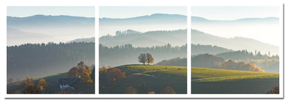 Freiburg Fotoleiste - Hochschwarzwald