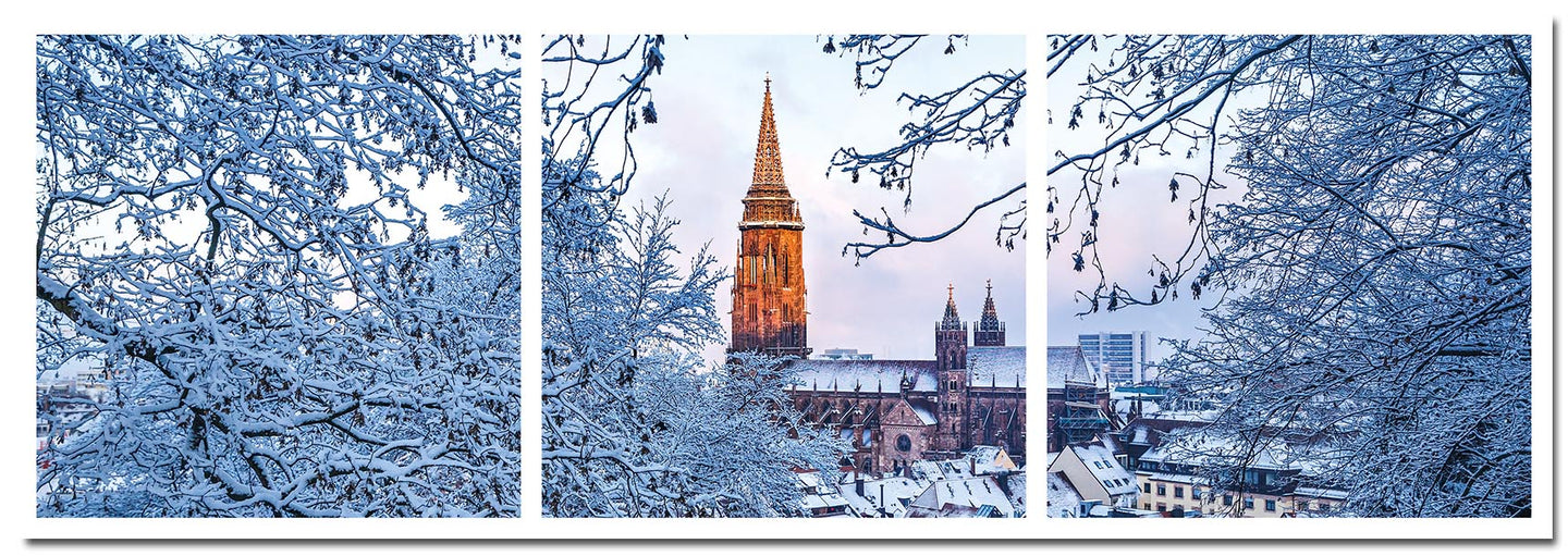 Freiburg Fotoleiste - Winterzauber