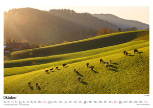 100% FREIBURG Kalender 2020