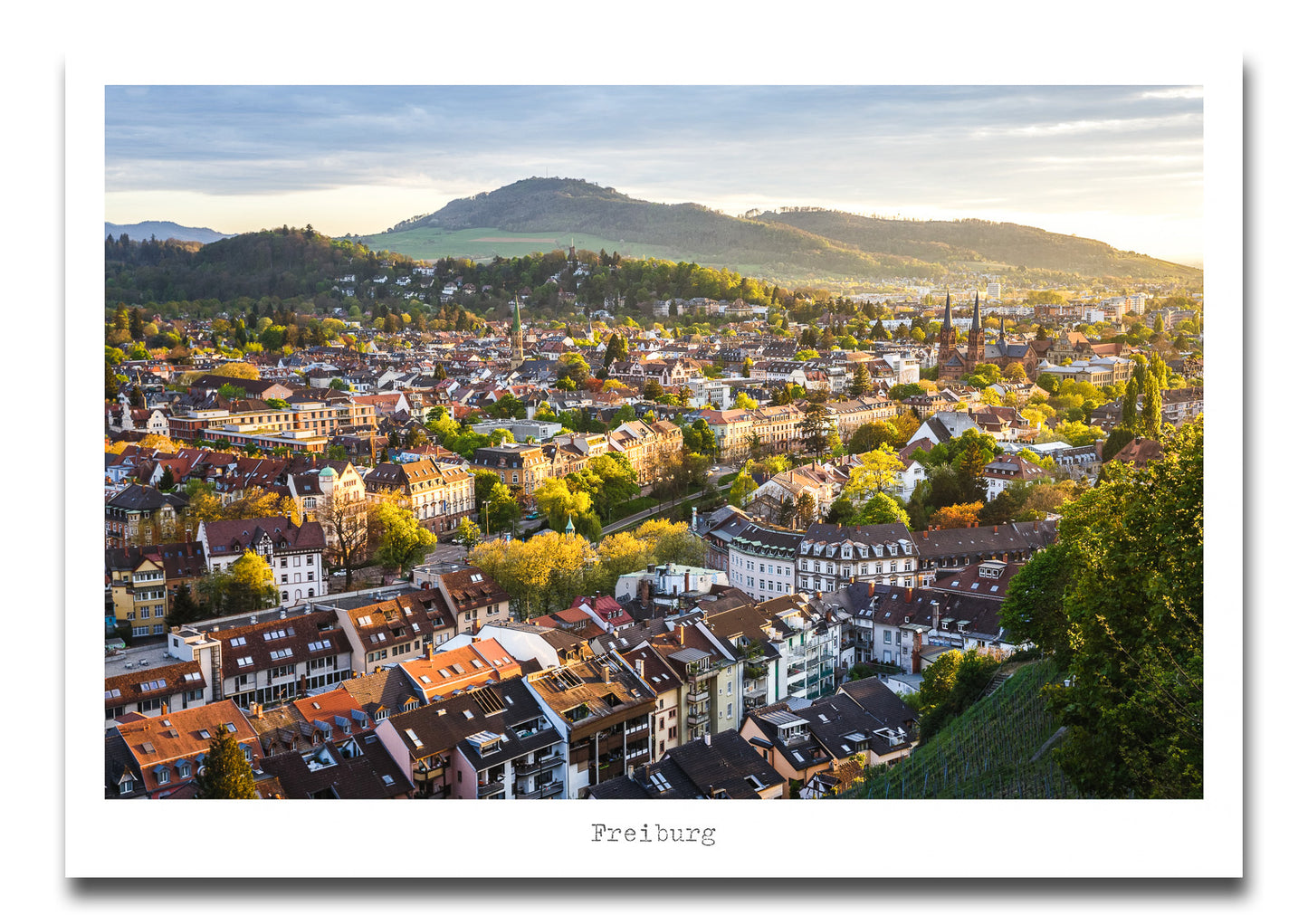 Freiburg Poster