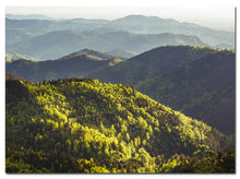 Laden Sie das Bild in den Galerie-Viewer, Magnet Schlüsselbrett | Schwarzwald
