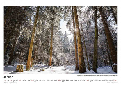 Schwarzwald Kalender 2016